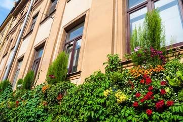 Fototapeta na wymiar House with green plants and flowers