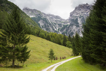 Zadnija dolina, Julian Alps, Slovenia