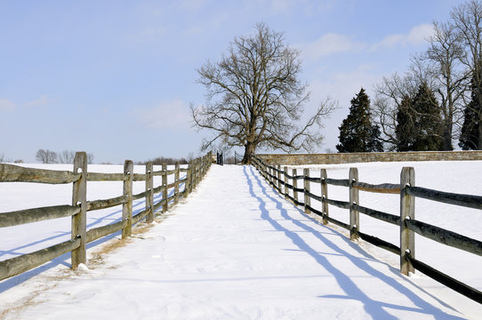 Wintry Countryside - Powered by Adobe