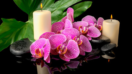 spa set of zen stones with drops, blooming twig stripped violet