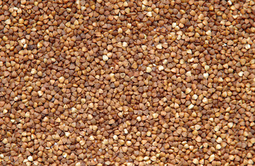 Buckwheat as a background