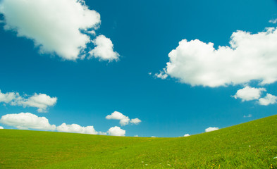 Green field and blue sky with light white clouds