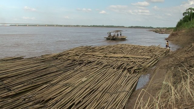 Barge drawing away from the riverbank; Bamboo poles stored in water along the riverside in the foreground (view from the riverbank),