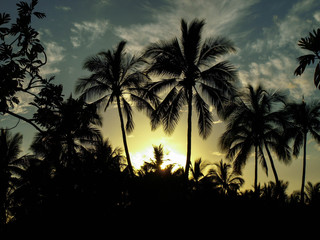 Hawaii Big Island Sunset Palms Moon-7