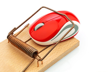 Computermaus in Mausefalle