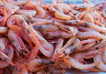Heap of fresh drafted shrimps in a harbor.