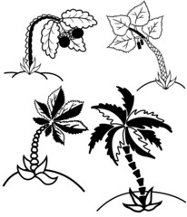 Palm trees collection