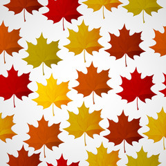 Abstract background with autumn colorful leaves.