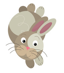 Cartoon rabbit - illustration for the children