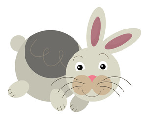 Cartoon rabbit - illustration for the children