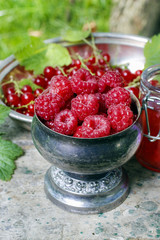 Silver goblet of raspberries
