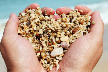 Hands holding the little rocks
