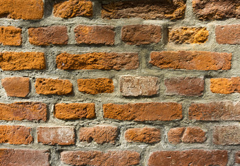 Fototapeta premium Ziegelsteinmauer