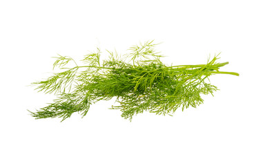 Dill branch