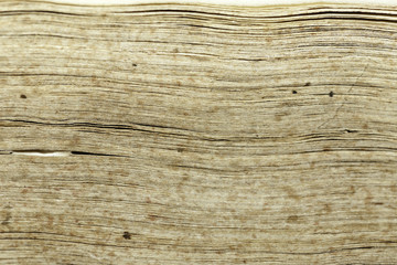 old book texture leaves