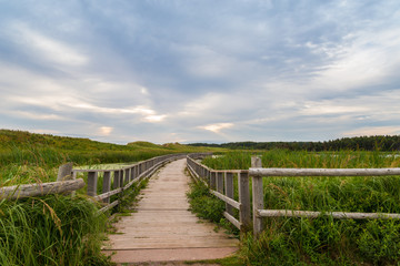 Fototapeta na wymiar A wooden bridge over a marsh in the Cavendish Dunelands