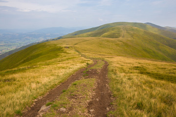 Fototapeta premium Carpathians