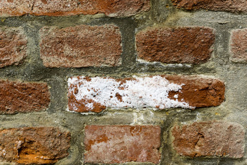 Salpeter auf Ziegelsteinmauer - Bauschäden