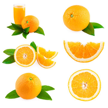 Oranges fruits collection