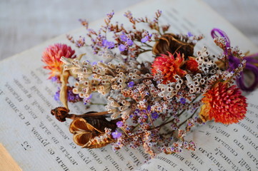 Close up dry posy flowers
