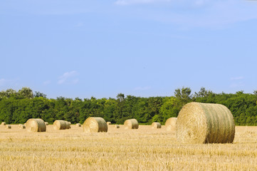 Straw bales at sunset