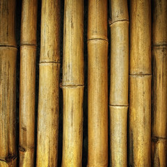 The old yellow bamboo fence background texture
