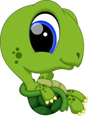 Cute super turtle cartoon