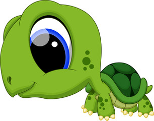 Cute turtle cartoon