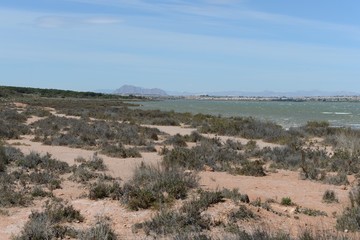 Natural Park of La Mata