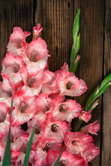 Gladiolus on a wooden background
