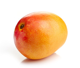 Mango fruit