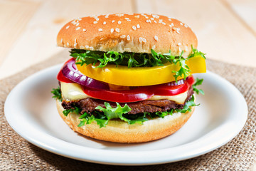 homemade hamburger with fresh vegetables, close up