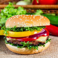 homemade hamburger with fresh vegetables, close up