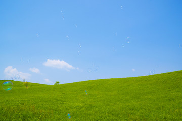 青空とシャボン玉