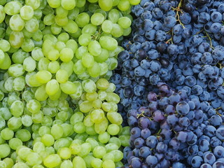 market red wine grapes