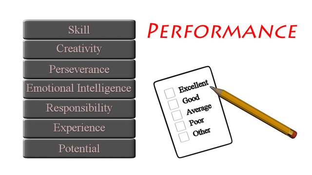 performance level conceptual measure form