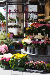 flower market