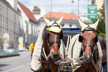 carriage in the street