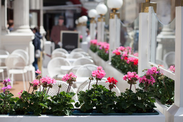 cafe garden seats