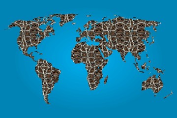 Map of the world filled with a Tiger pattern
