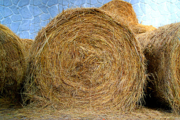 Strohballen Stroh Ernte Rolle