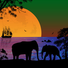Elephants in beautiful seascape