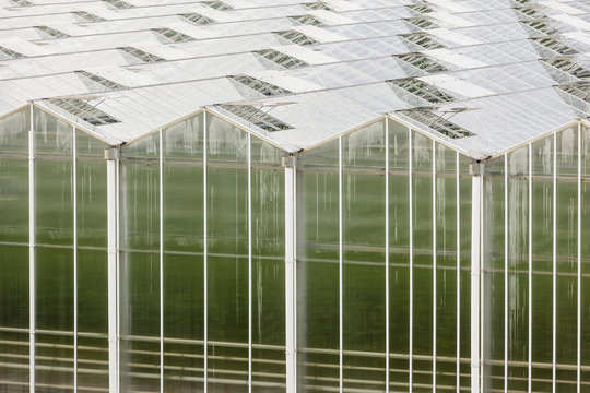 Large Greenhouse From Outside