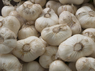 Organic garlic