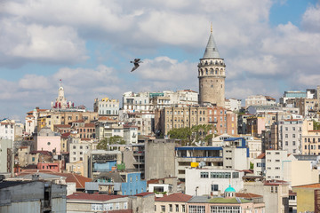 Fototapeta premium Galata tower & rooftops, Istanbul Turkey