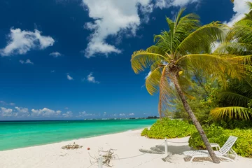 Cercles muraux Plage de Seven Mile, Grand Cayman 7 mile beach, Grand Cayman