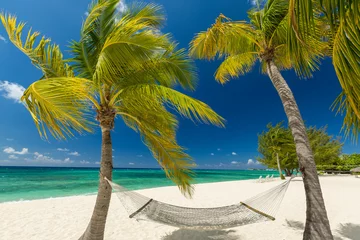 Photo sur Plexiglas Plage de Seven Mile, Grand Cayman 7 mile beach, Grand Cayman