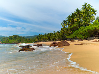 Beach with palm trees