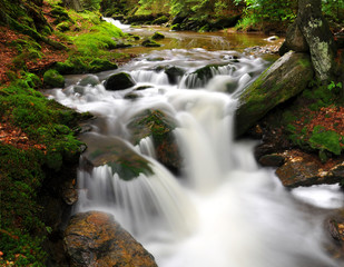 Fototapeta na wymiar Mountain creek in the national park Sumava-Czech Republic