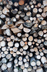 Detailed picture of pile of wood.